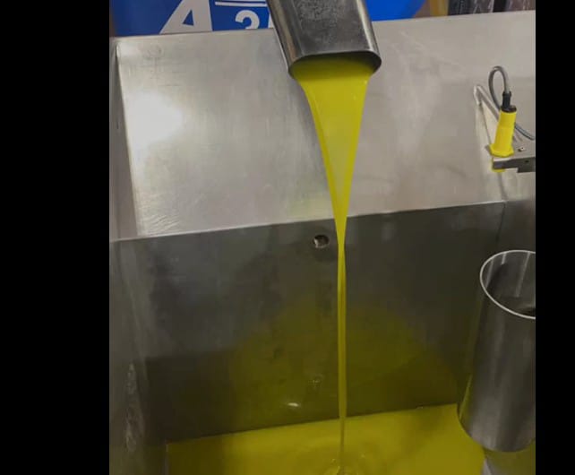 Olio Extravergine di Oliva - immagine 2